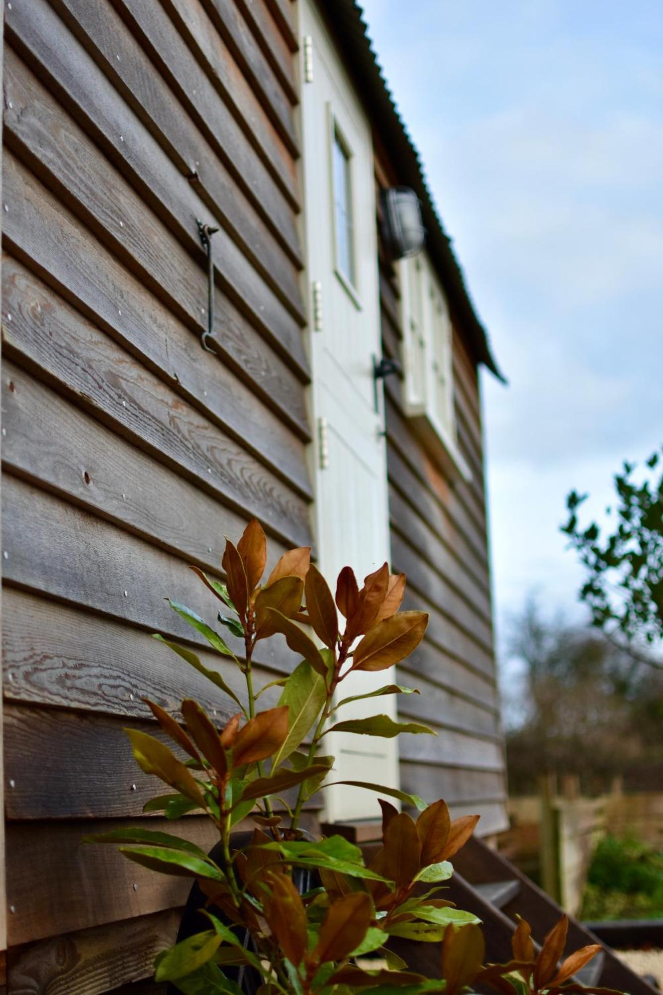 Appartement The Deer Hut à Burpham Extérieur photo