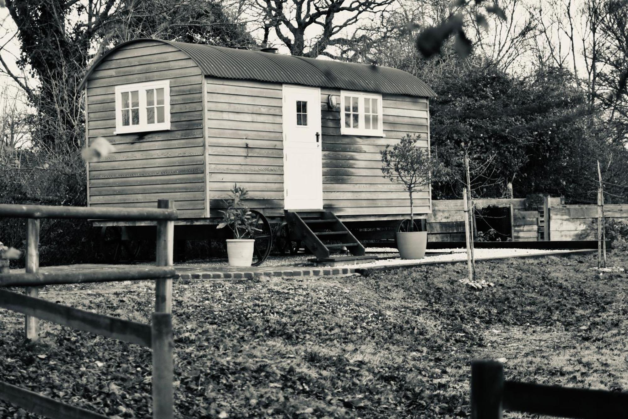 Appartement The Deer Hut à Burpham Extérieur photo